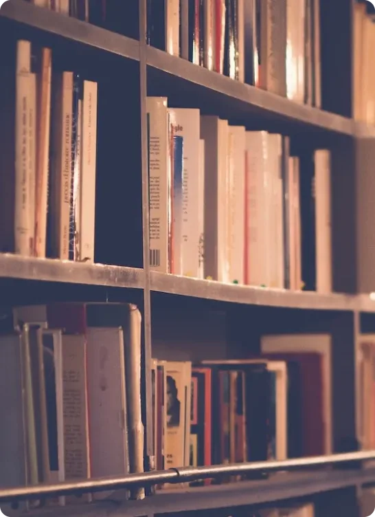 Shelves of published books